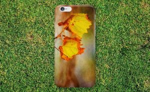 Autumn Vines, Mindarie, Perth iPhone Case design by Dave Catley featuring Autumn Vines in Mindarie, Perth available from our MADCAT.RedBubble.com store.