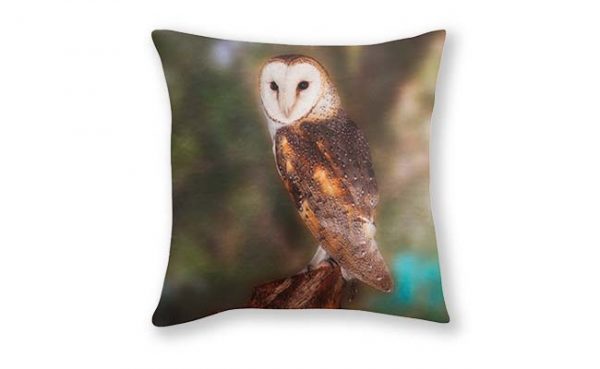Chips The Barn Owl, Native Animal Rescue Cushion Cover, Designed by Dave Catley Fine Art Photographer, available in our MADAboutWA Store.