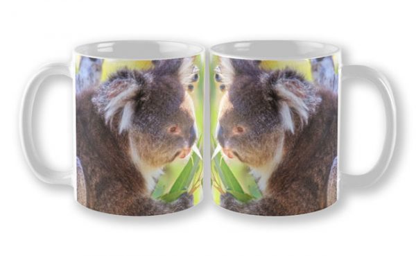 Feed Me, Yanchep National Park Mug design by Dave Catley featuring Koala snack time, love my gum leaves available from our MADCAT.RedBubble.com store.