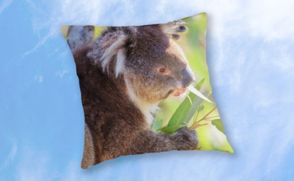 Feed Me, Yanchep National Park Throw Pillow design by Dave Catley featuring Koala snack time, love my gum leaves available from our MADCAT.RedBubble.com store.