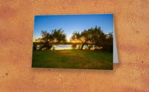 Golden Lake, Yanchep National Park Greeting Card design by Dave Catley featuring Sunset over Wagardu Lake, YNP available from our MADCAT.RedBubble.com store.