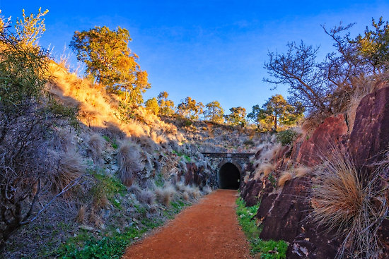 Swan View Railway Tunnel, John Forrest National Park