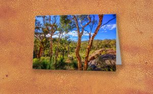 Heritage View, John Forest National Park Greeting Card design by Dave Catley featuring View from the old railway line walk trail in John Forest National Park available from our MADCAT.RedBubble.com store.