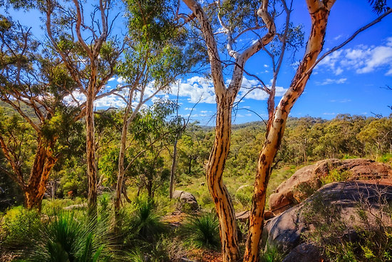 Heritage View, John Forest National Park