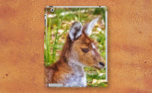 Inner Peace, Yanchep National Park iPad Case design by Dave Catley featuring Kangaroo resident at Yanchep National Park available from our MADCAT.RedBubble.com store.