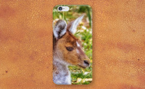 Inner Peace, Yanchep National Park iPhone Case design by Dave Catley featuring Kangaroo resident at Yanchep National Park available from our MADCAT.RedBubble.com store.