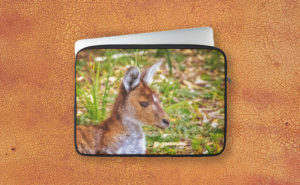 Inner Peace, Yanchep National Park Laptop Sleeve design by Dave Catley featuring Kangaroo resident at Yanchep National Park available from our MADCAT.RedBubble.com store.
