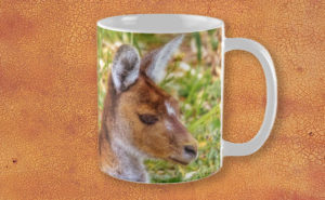 Inner Peace, Yanchep National Park Mug design by Dave Catley featuring Kangaroo resident at Yanchep National Park available from our MADCAT.RedBubble.com store.