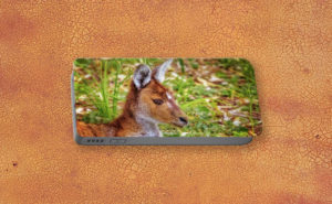 Inner Peace, Yanchep National Park Portable Battery Charger design by Dave Catley featuring Kangaroo resident at Yanchep National Park available from our Dave-Catley.pixels.com store.
