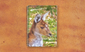 Inner Peace, Yanchep National Park Spiral Notebook design by Dave Catley featuring Kangaroo resident at Yanchep National Park available from our MADCAT.RedBubble.com store.