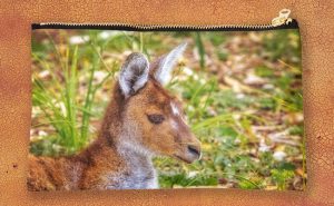 Inner Peace, Yanchep National Park Studio Pouch design by Dave Catley featuring Kangaroo resident at Yanchep National Park available from our MADCAT.RedBubble.com store.