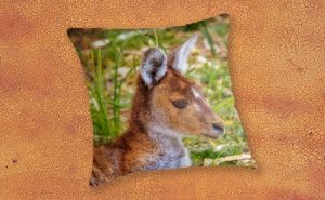 Inner Peace, Yanchep National Park Throw Pillow design by Dave Catley featuring Kangaroo resident at Yanchep National Park available from our MADCAT.RedBubble.com store.