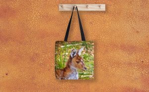 Inner Peace, Yanchep National Park Tote Bag design by Dave Catley featuring Kangaroo resident at Yanchep National Park available from our MADCAT.RedBubble.com store.