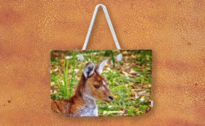 Inner Peace, Yanchep National Park Weekender Tote Bag design by Dave Catley featuring Kangaroo resident at Yanchep National Park available from our Dave-Catley.pixels.com store.