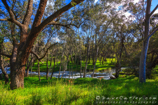 Lusciously Green, Noble Falls, Perth, Western Australia
