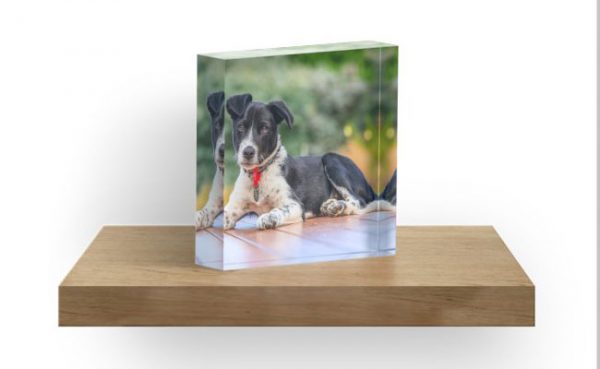 Personalised Gifts - Your Image on one of our products, the perfect personalised gift for someone special