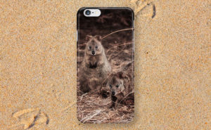 Rottnest Island Quokkas on an iPhone Case