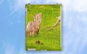 Sailing The Sea of Grass, Bells Rapids, Perth iPad Case featuring Sailing The Sea of Grass, Bells Rapids, Perth available from our MADCAT.RedBubble.com store.