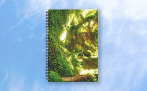 The Secret Garden, Gwelup Spiral Notebook design by Dave Catley featuring Golden Path through the Secret Garden, Gwelup, Perth available from our MADCAT RedBubble.com store.