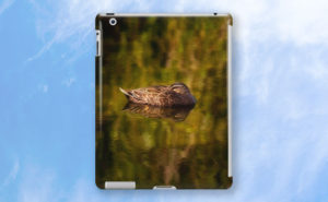 Sleepy Duck, Yanchep National Park iPad Case design by Dave Catley featuring Sleepy Duck floating on Wagardu Lake available from our MADCAT.RedBubble.com store.