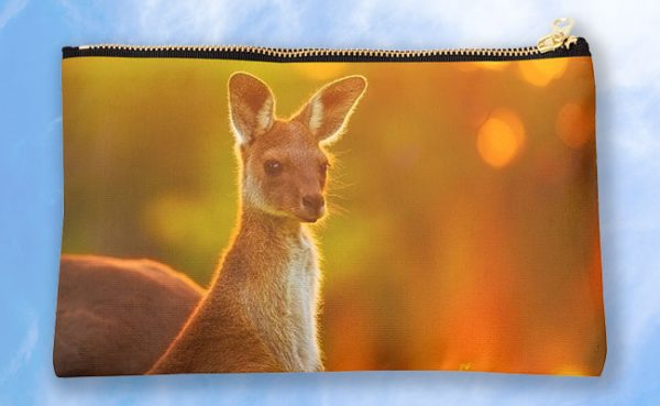 Sunset Joey, Yanchep National Park Studio Pouch design by Dave Catley featuring Alert Joey in the Yanchep National Park available from our MADAboutWA store.