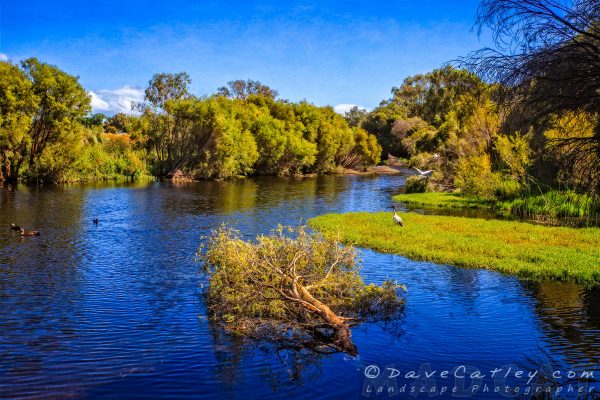 Wetland Lake, The Secret Garden Perth, Western Australia