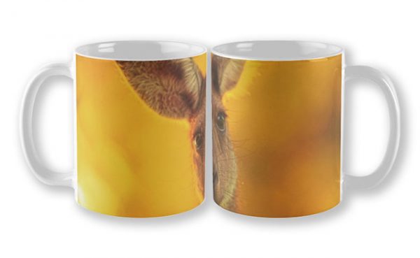 What's Up, Yanchep National Park Mug design by Dave Catley featuring Attentive Kangaroo, Yanchep National Park available from our MADAboutWA store.