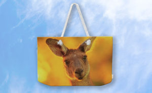 What's Up, Yanchep National Park Weekender Tote Bag design by Dave Catley featuring Attentive Kangaroo, Yanchep National Park available from our Dave-Catley.pixels.com store.